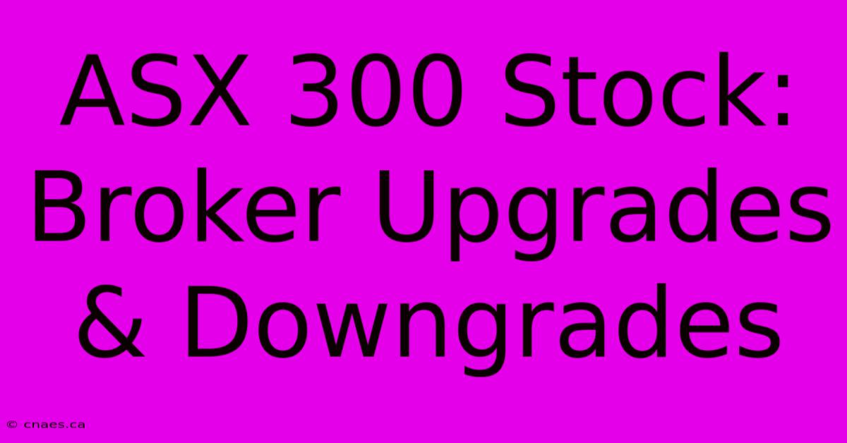 ASX 300 Stock: Broker Upgrades & Downgrades