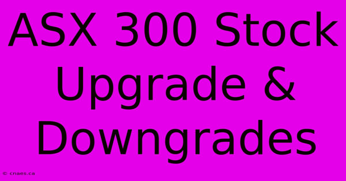 ASX 300 Stock Upgrade & Downgrades