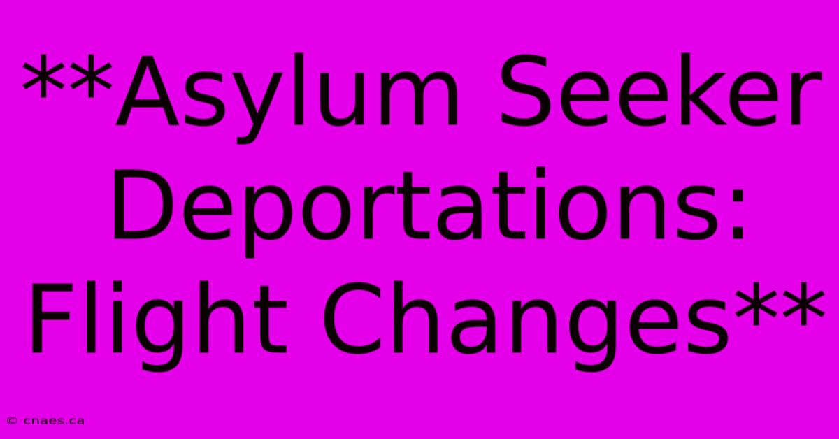 **Asylum Seeker Deportations: Flight Changes**