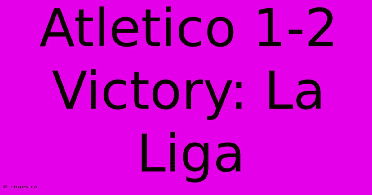 Atletico 1-2 Victory: La Liga