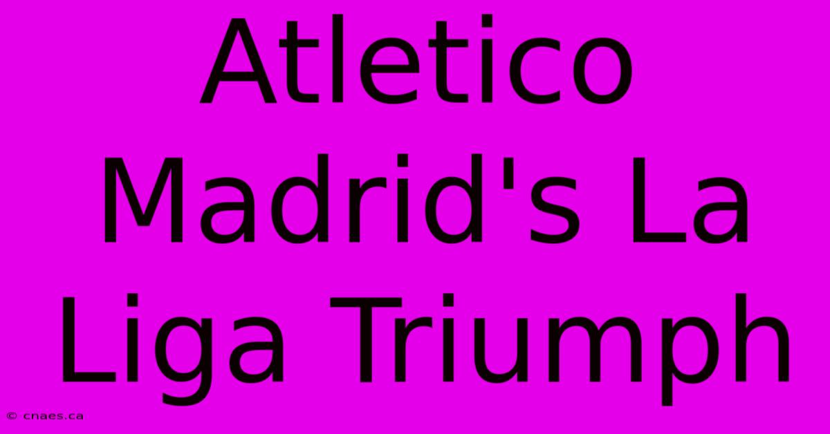 Atletico Madrid's La Liga Triumph