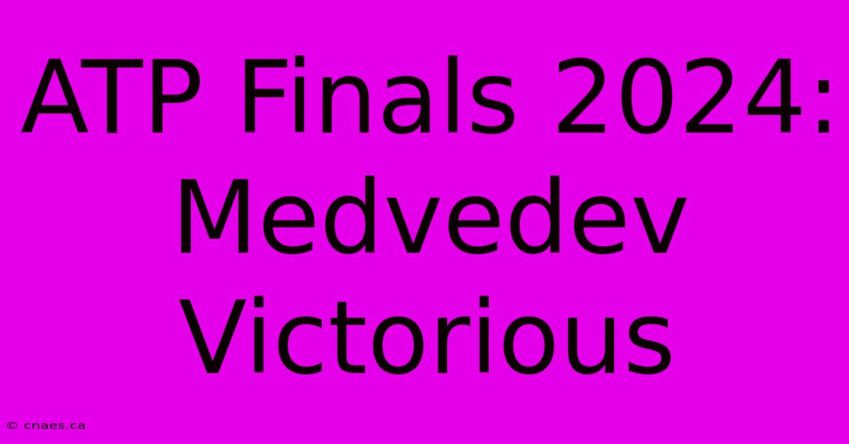 ATP Finals 2024: Medvedev Victorious 