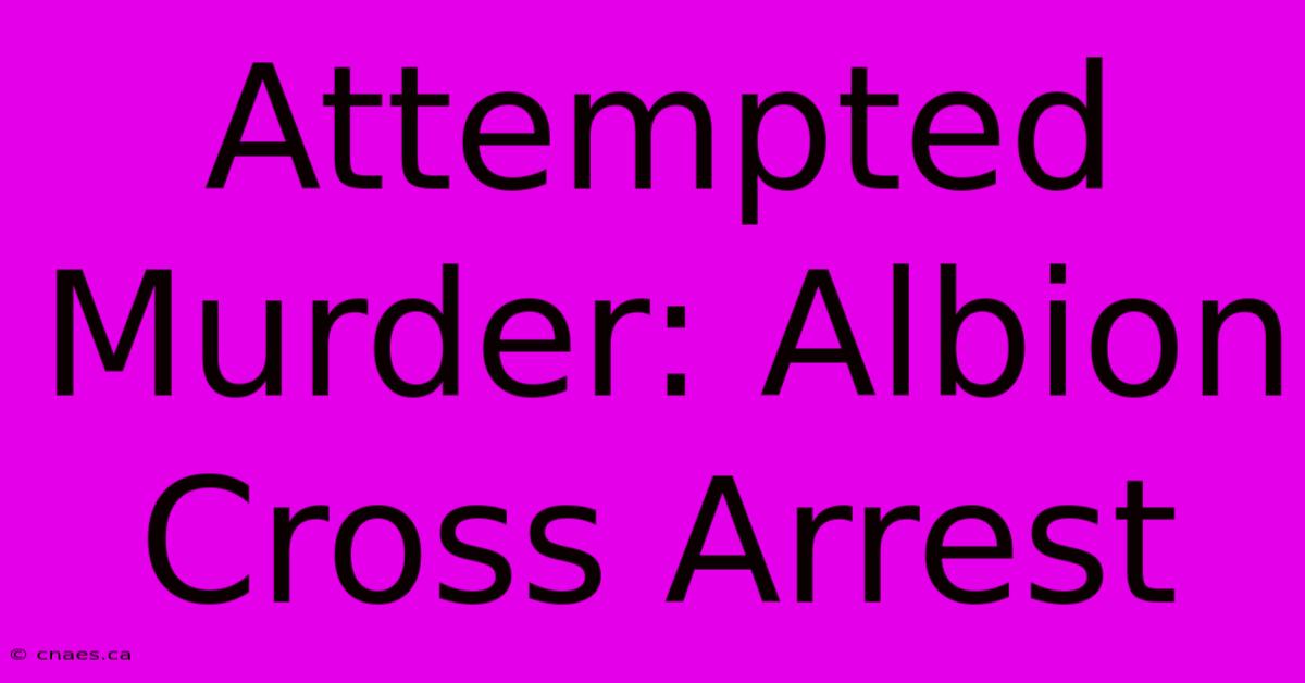 Attempted Murder: Albion Cross Arrest