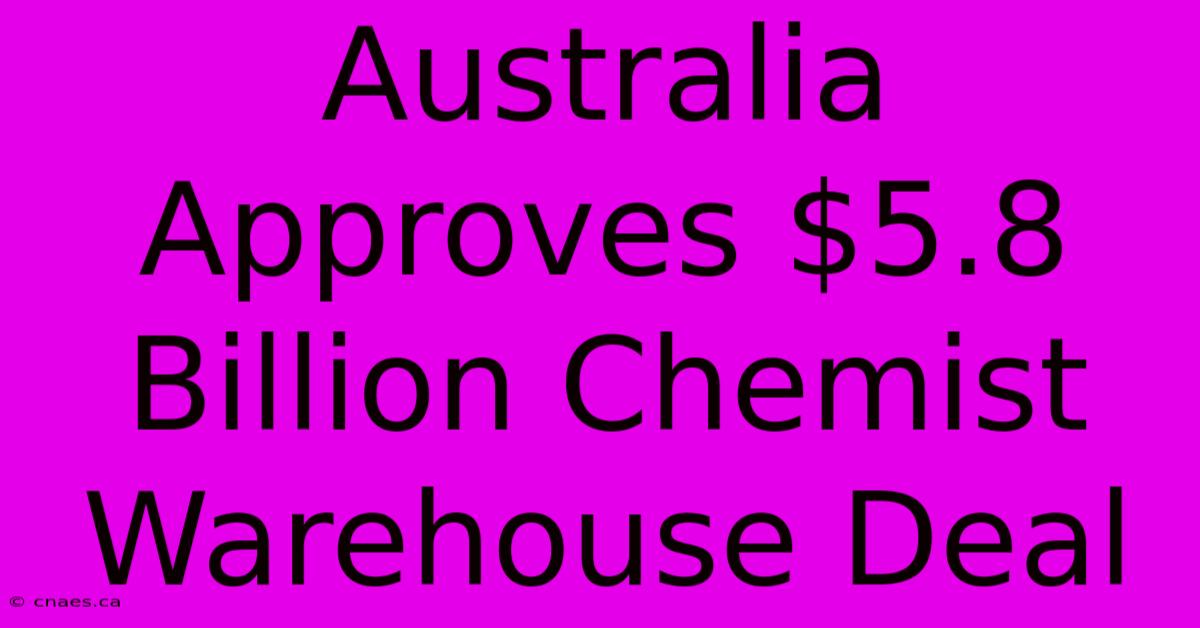 Australia Approves $5.8 Billion Chemist Warehouse Deal