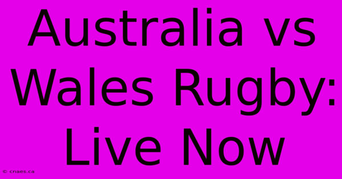 Australia Vs Wales Rugby: Live Now