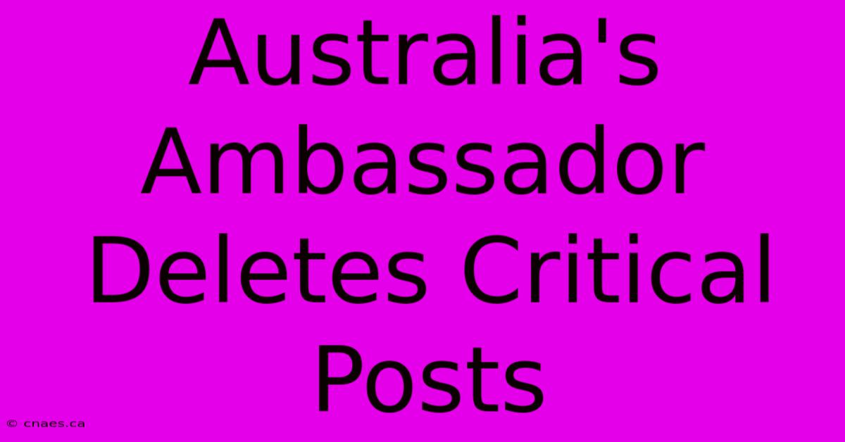 Australia's Ambassador Deletes Critical Posts