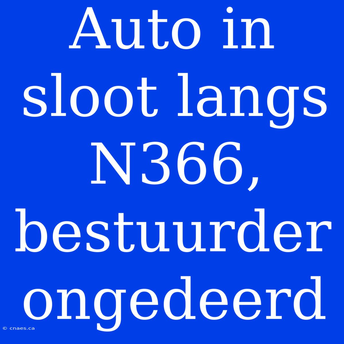 Auto In Sloot Langs N366, Bestuurder Ongedeerd