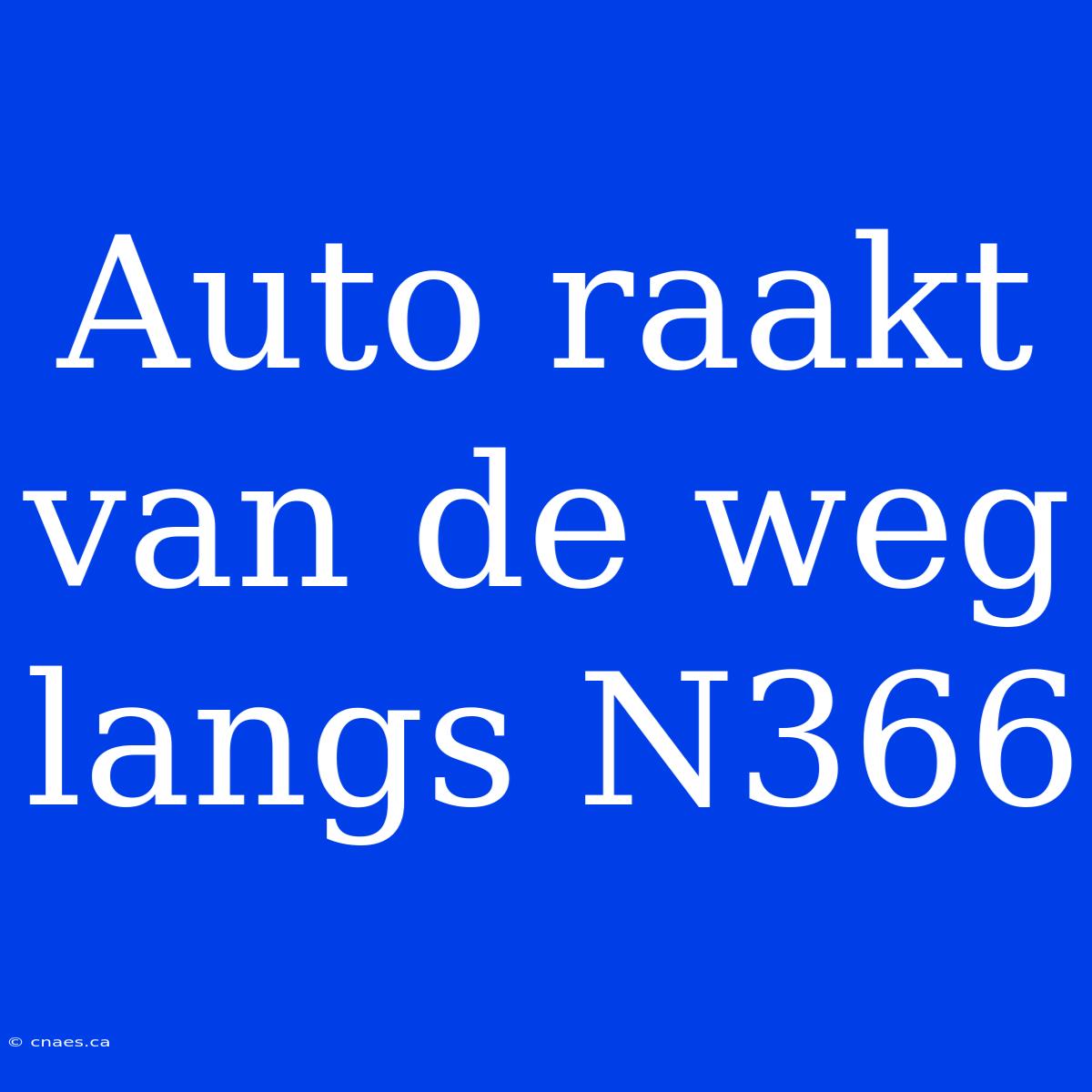 Auto Raakt Van De Weg Langs N366