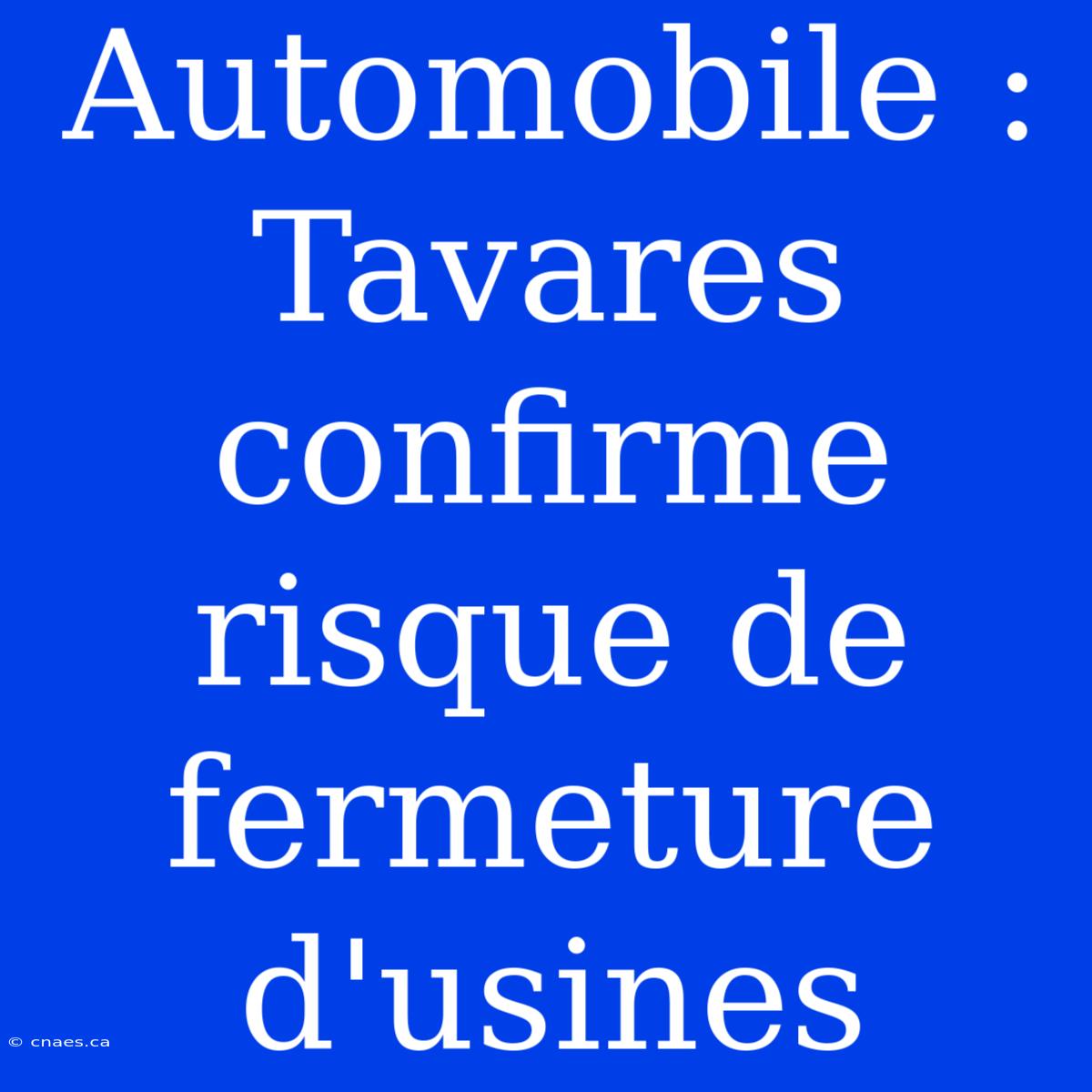 Automobile : Tavares Confirme Risque De Fermeture D'usines