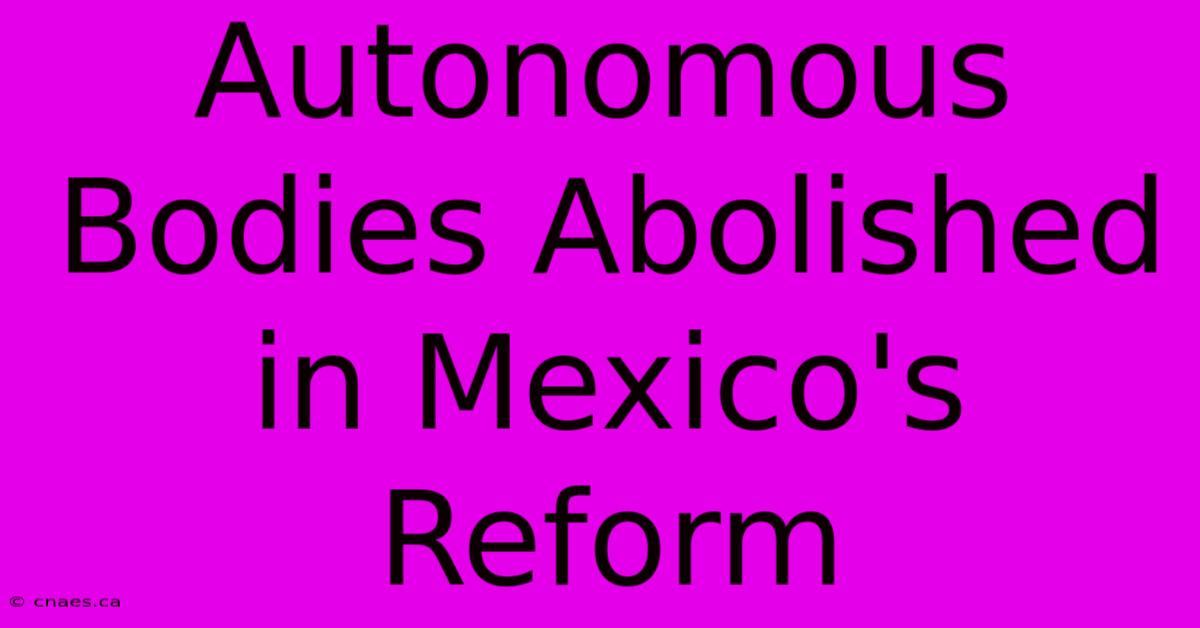 Autonomous Bodies Abolished In Mexico's Reform