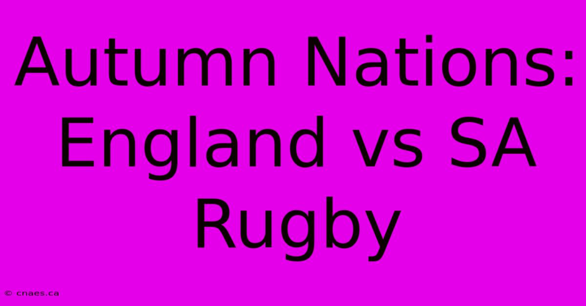 Autumn Nations: England Vs SA Rugby