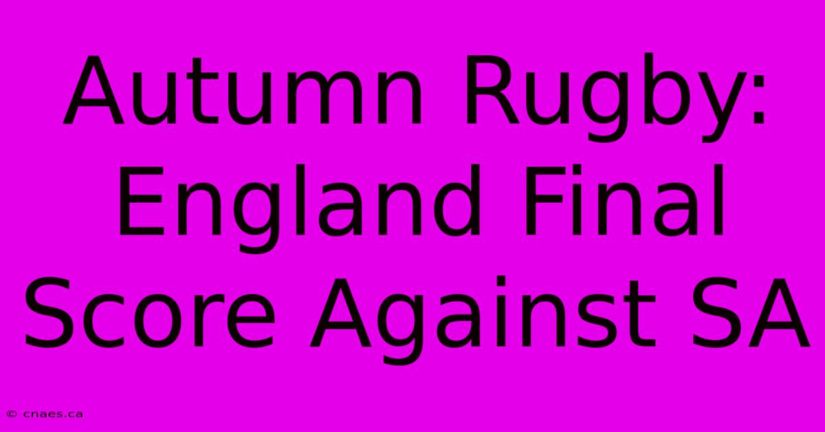 Autumn Rugby: England Final Score Against SA