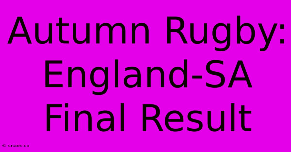 Autumn Rugby: England-SA Final Result