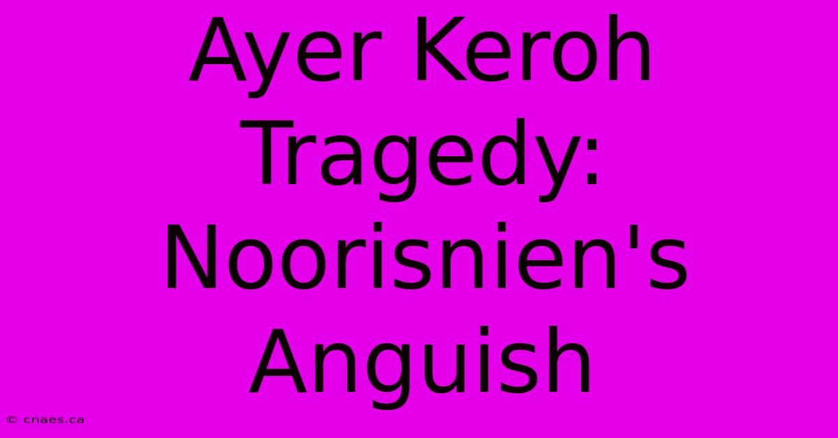 Ayer Keroh Tragedy: Noorisnien's Anguish