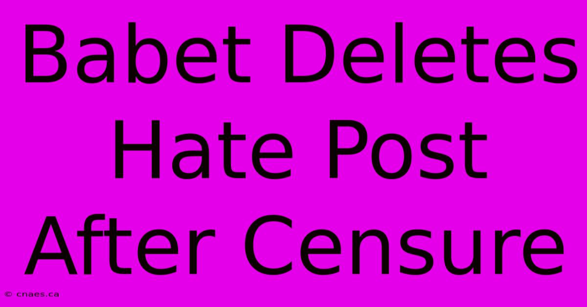 Babet Deletes Hate Post After Censure