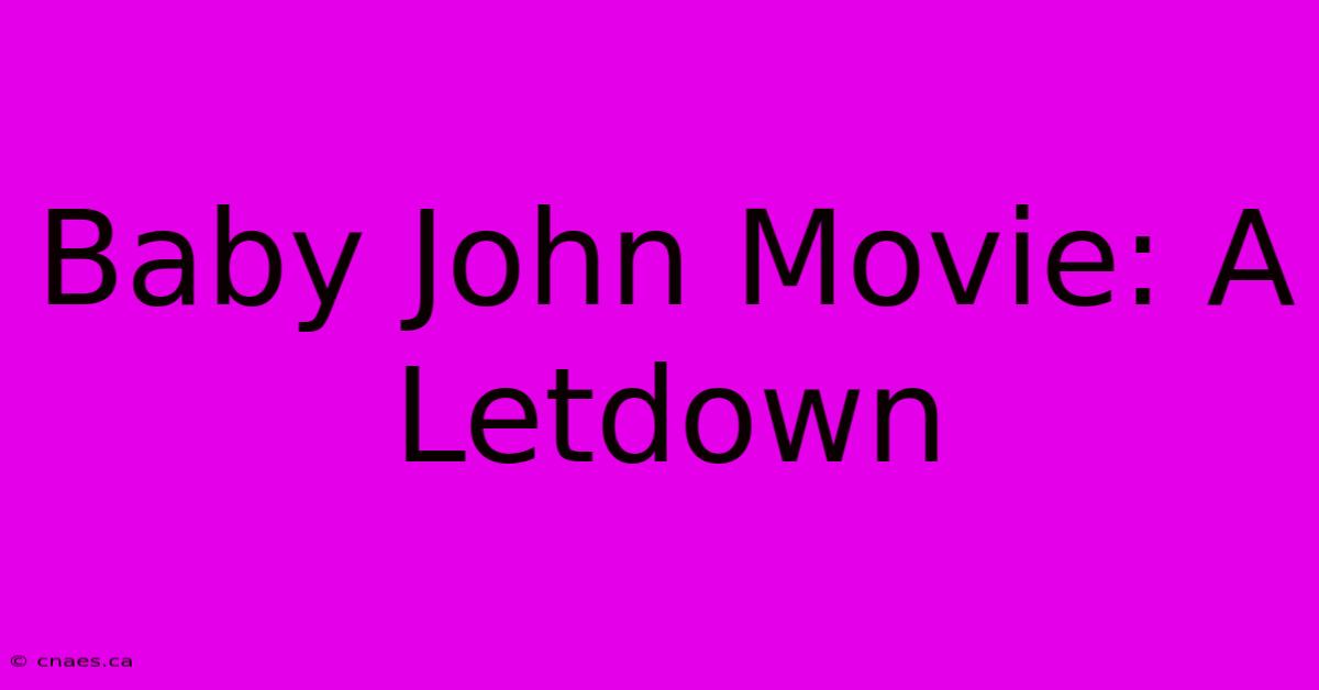 Baby John Movie: A Letdown