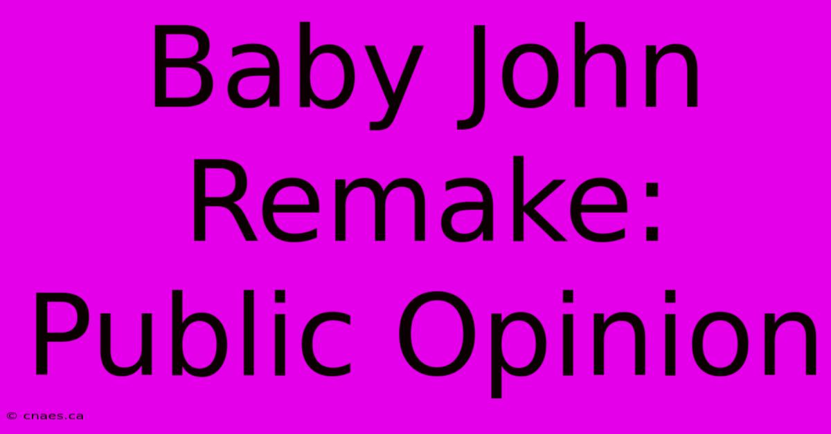 Baby John Remake: Public Opinion