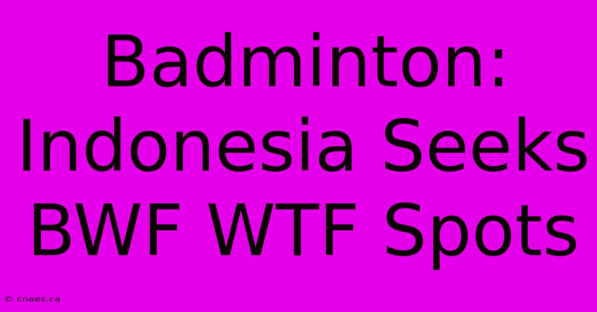 Badminton: Indonesia Seeks BWF WTF Spots