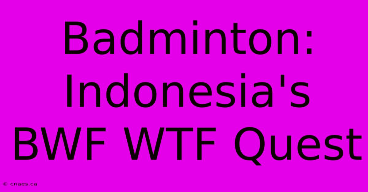 Badminton: Indonesia's BWF WTF Quest