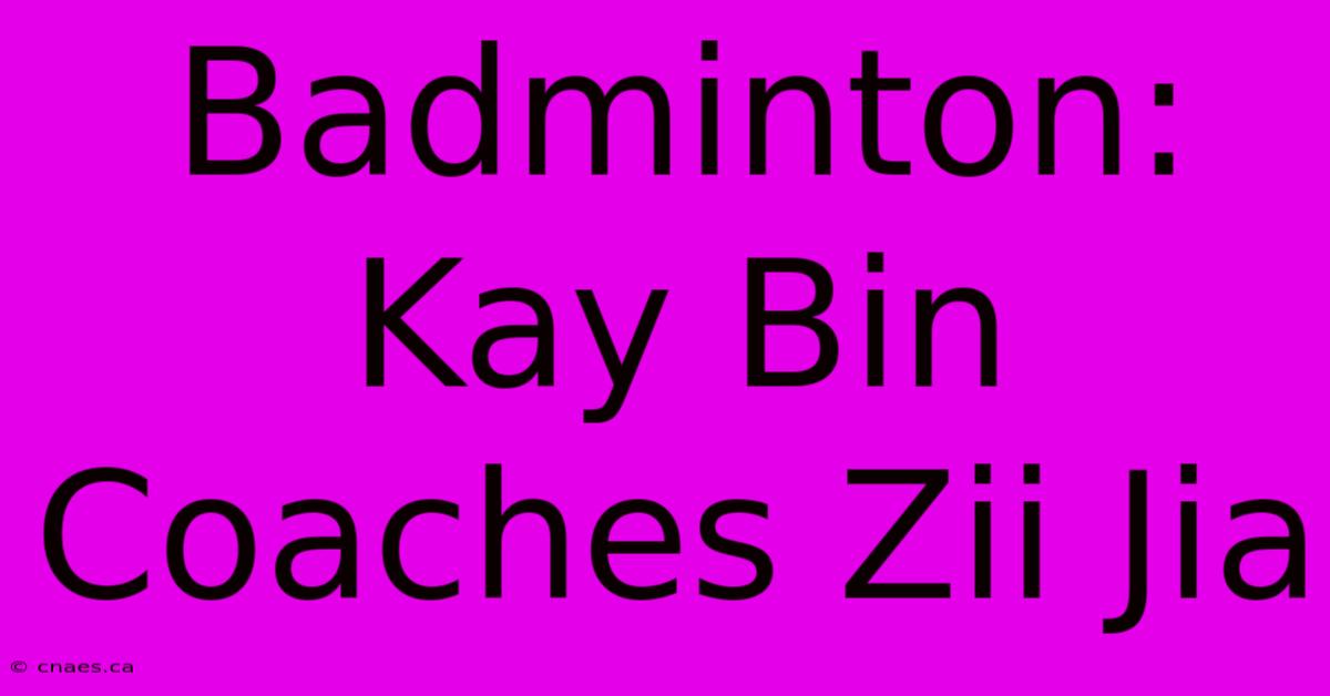 Badminton: Kay Bin Coaches Zii Jia