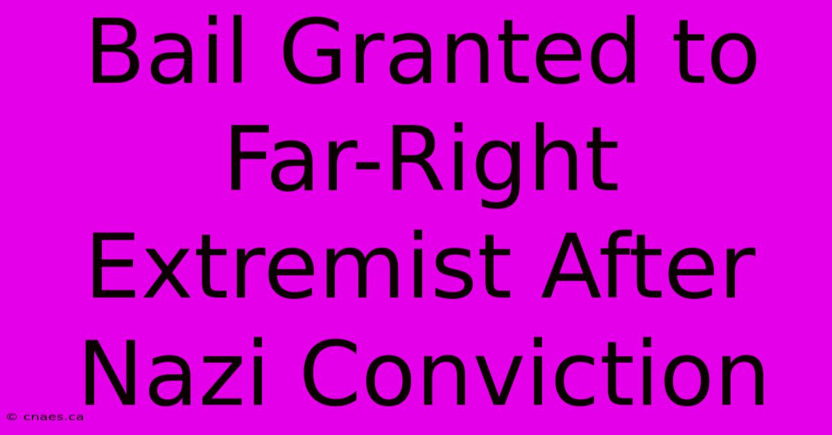 Bail Granted To Far-Right Extremist After Nazi Conviction 