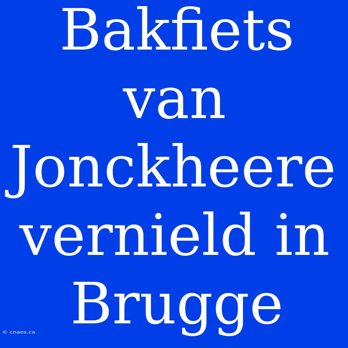 Bakfiets Van Jonckheere Vernield In Brugge