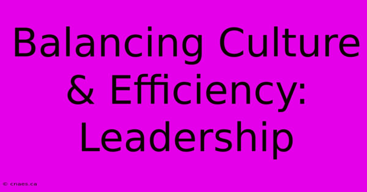 Balancing Culture & Efficiency: Leadership