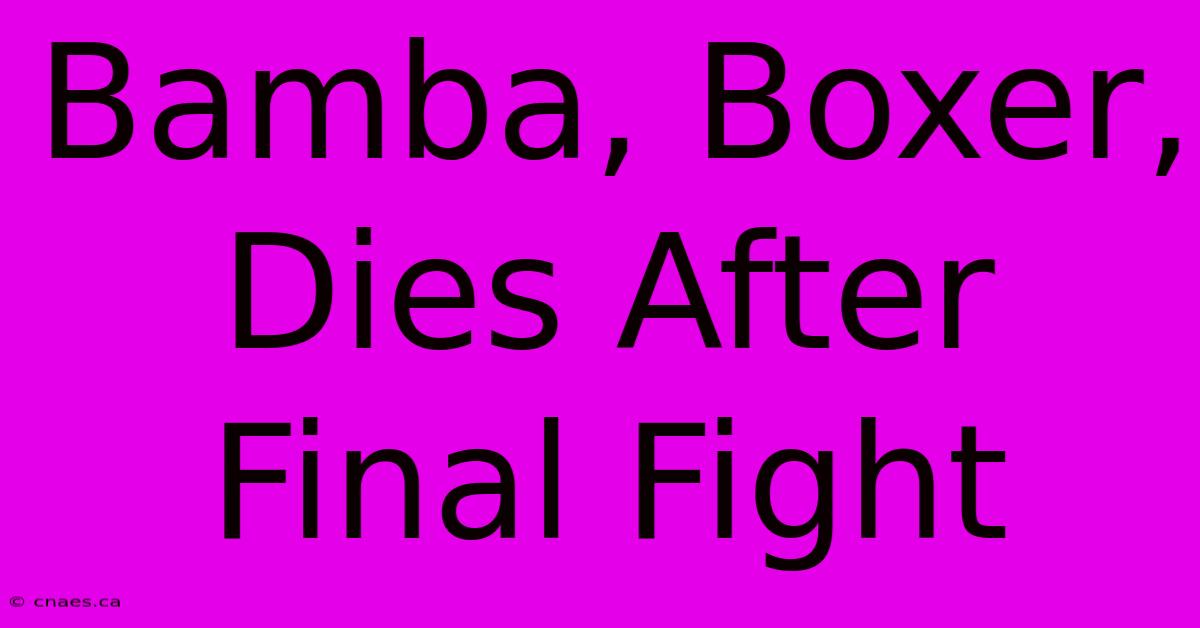 Bamba, Boxer, Dies After Final Fight