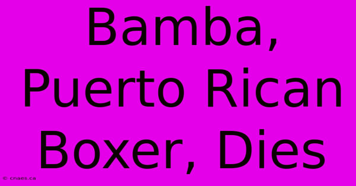 Bamba, Puerto Rican Boxer, Dies