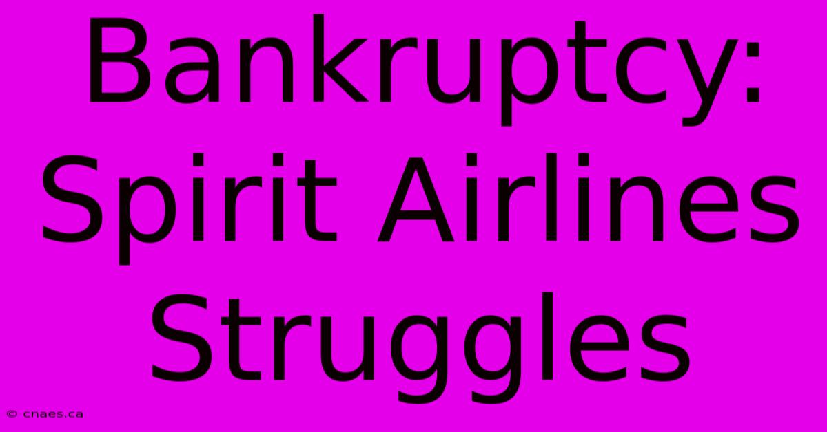 Bankruptcy: Spirit Airlines Struggles