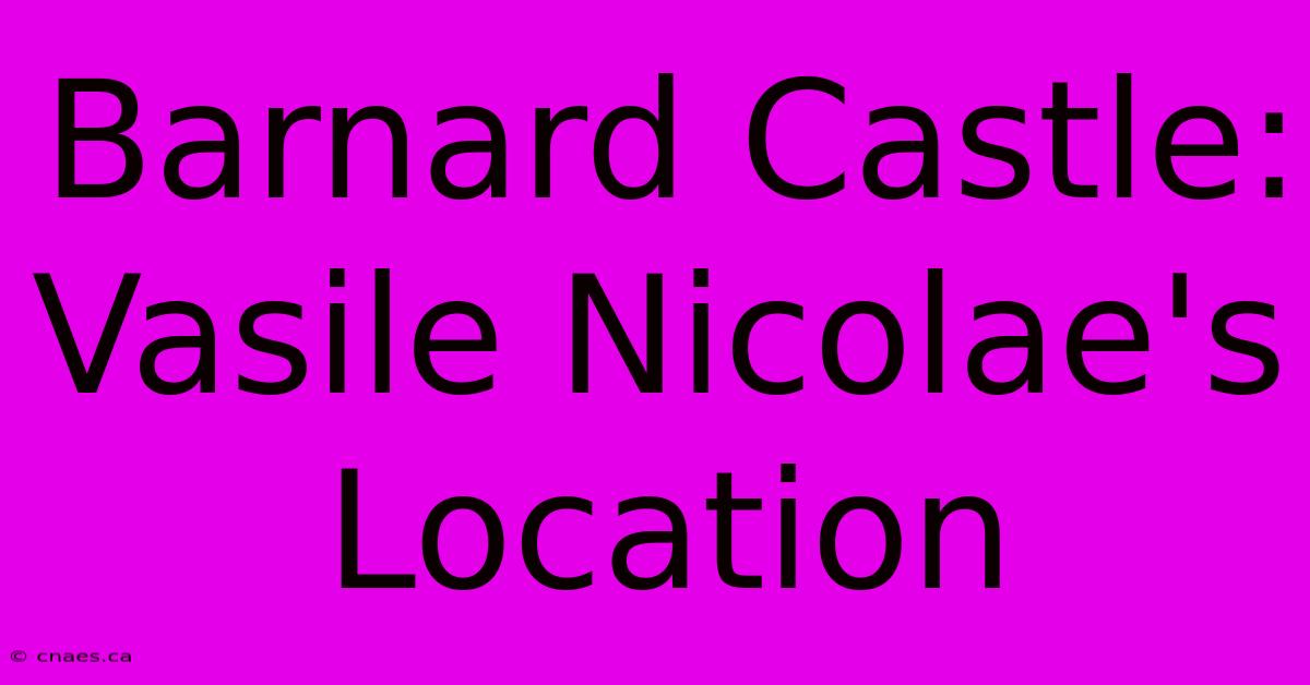 Barnard Castle: Vasile Nicolae's Location