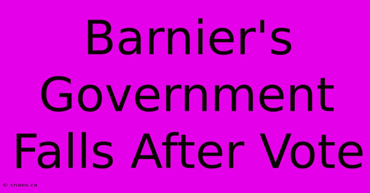 Barnier's Government Falls After Vote