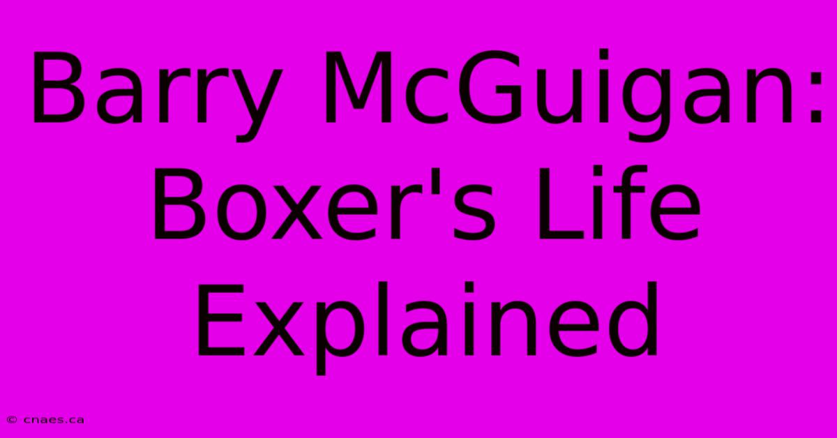 Barry McGuigan: Boxer's Life Explained