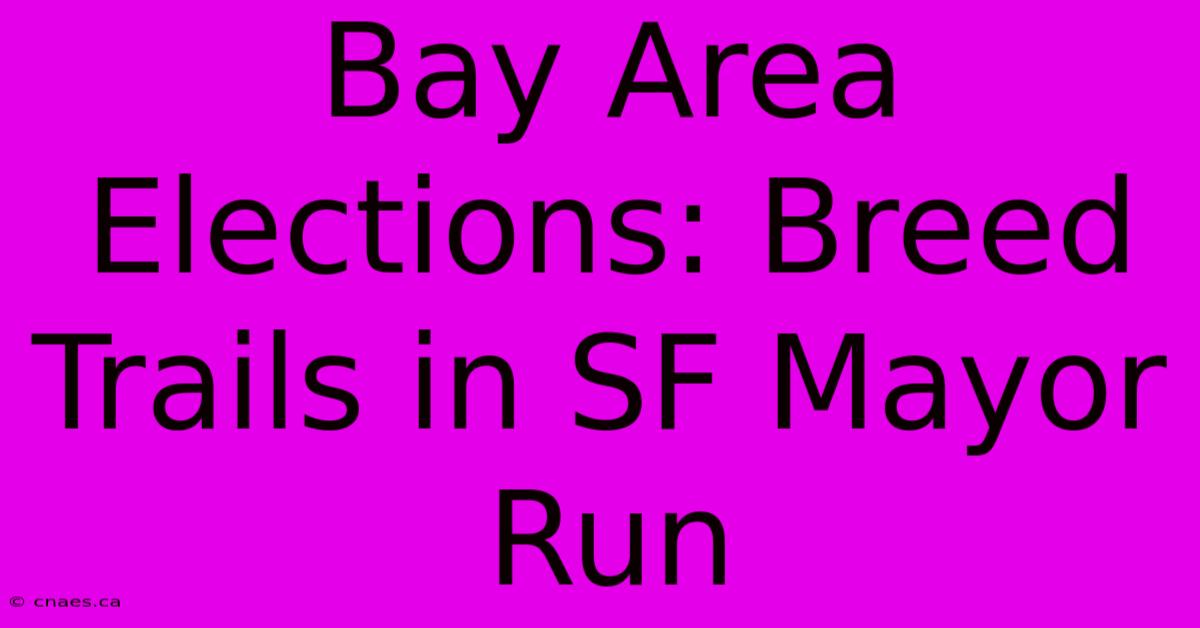 Bay Area Elections: Breed Trails In SF Mayor Run 