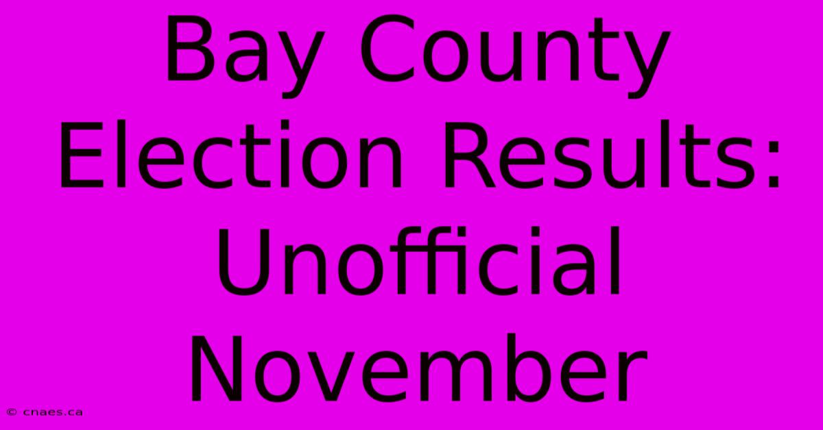 Bay County Election Results: Unofficial November