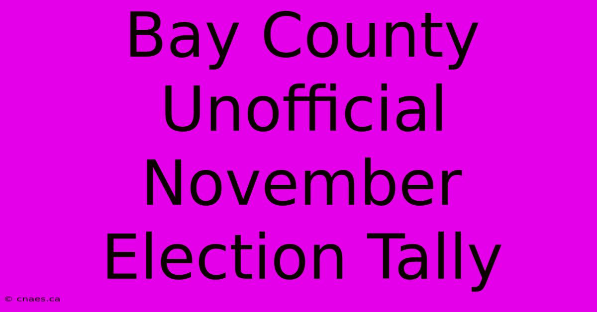 Bay County Unofficial November Election Tally