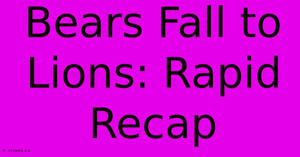 Bears Fall To Lions: Rapid Recap