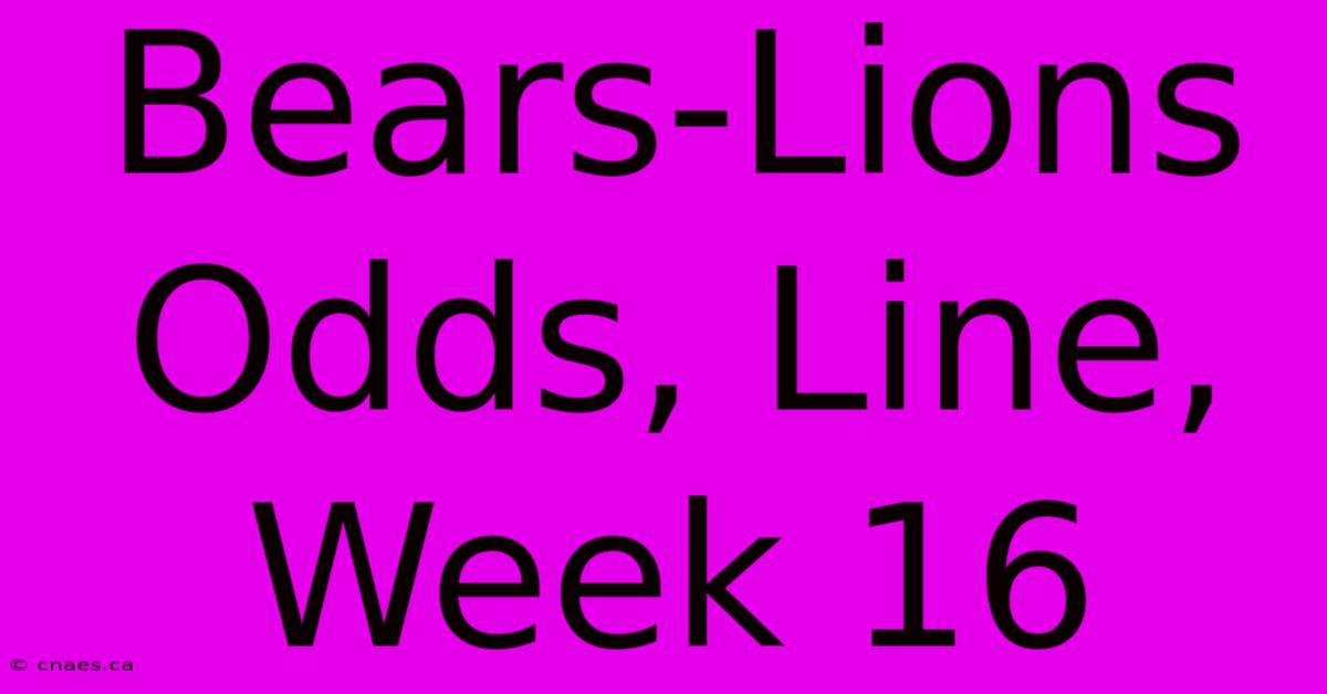 Bears-Lions Odds, Line, Week 16