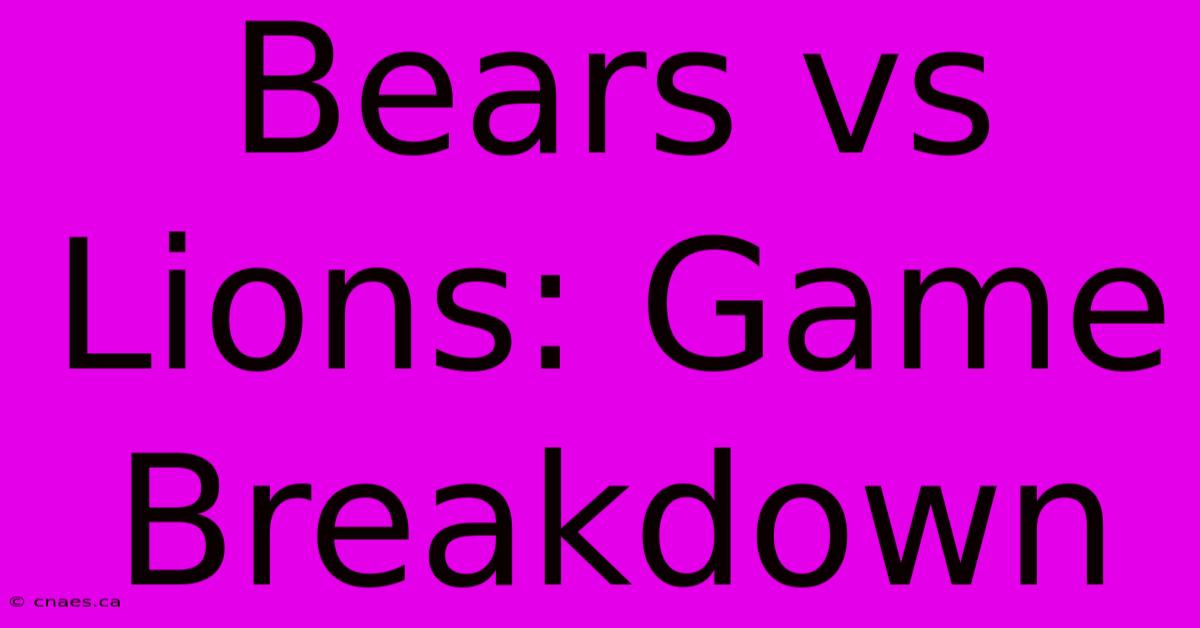 Bears Vs Lions: Game Breakdown