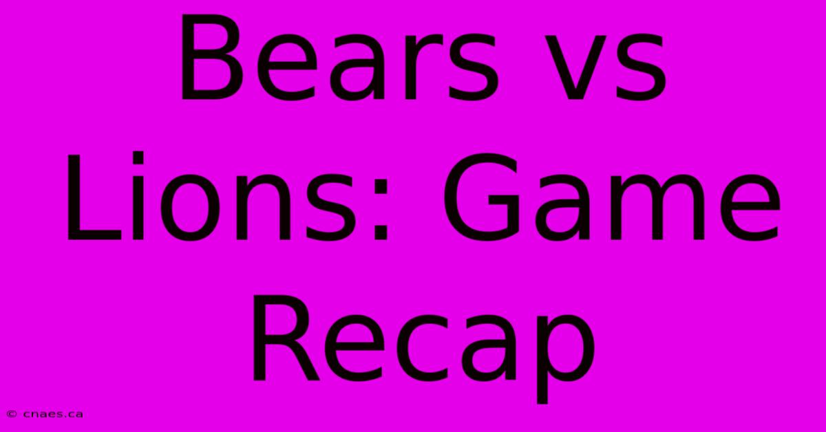 Bears Vs Lions: Game Recap