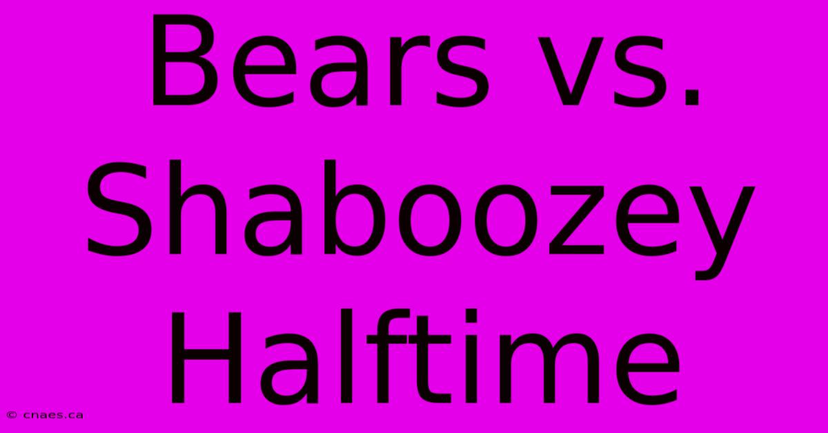 Bears Vs. Shaboozey Halftime