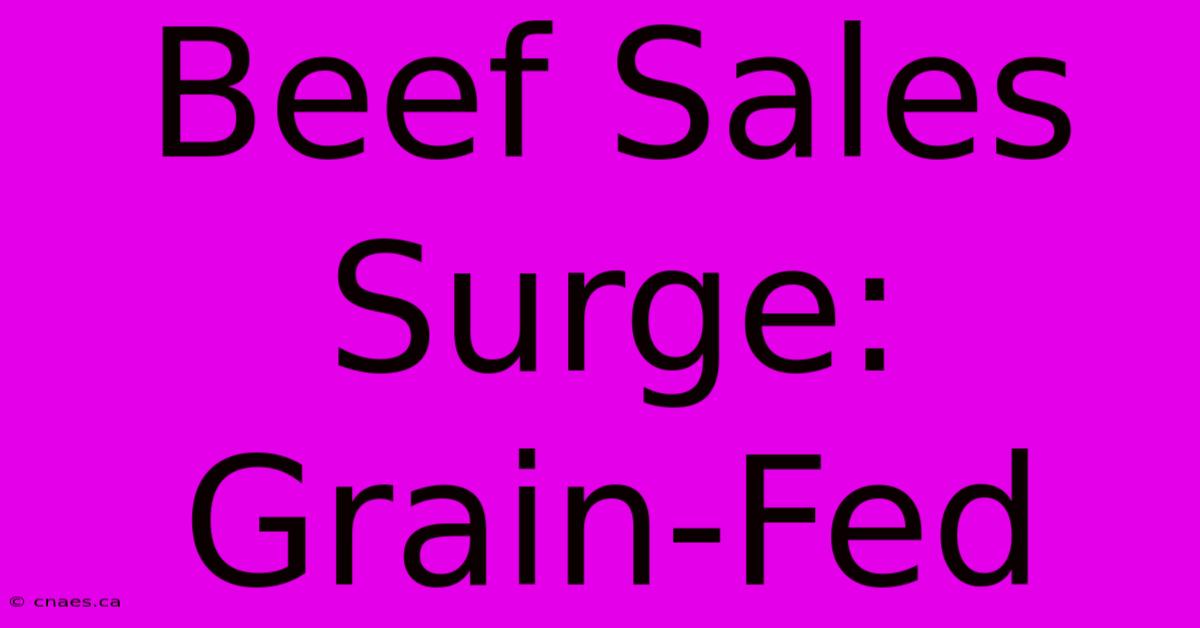 Beef Sales Surge: Grain-Fed