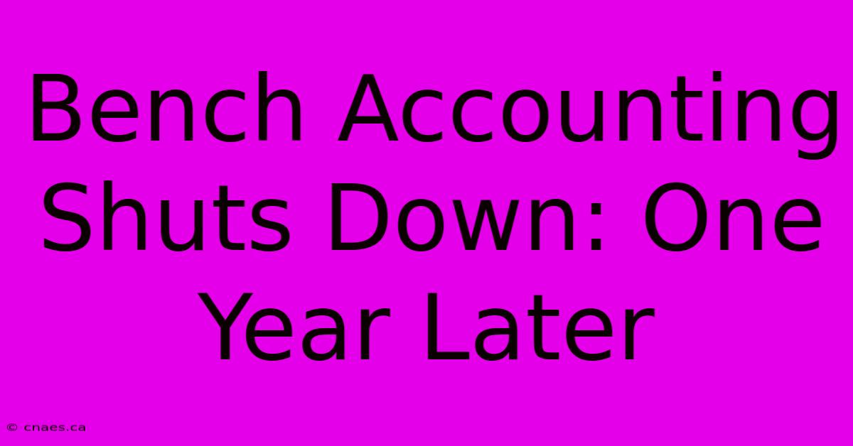 Bench Accounting Shuts Down: One Year Later