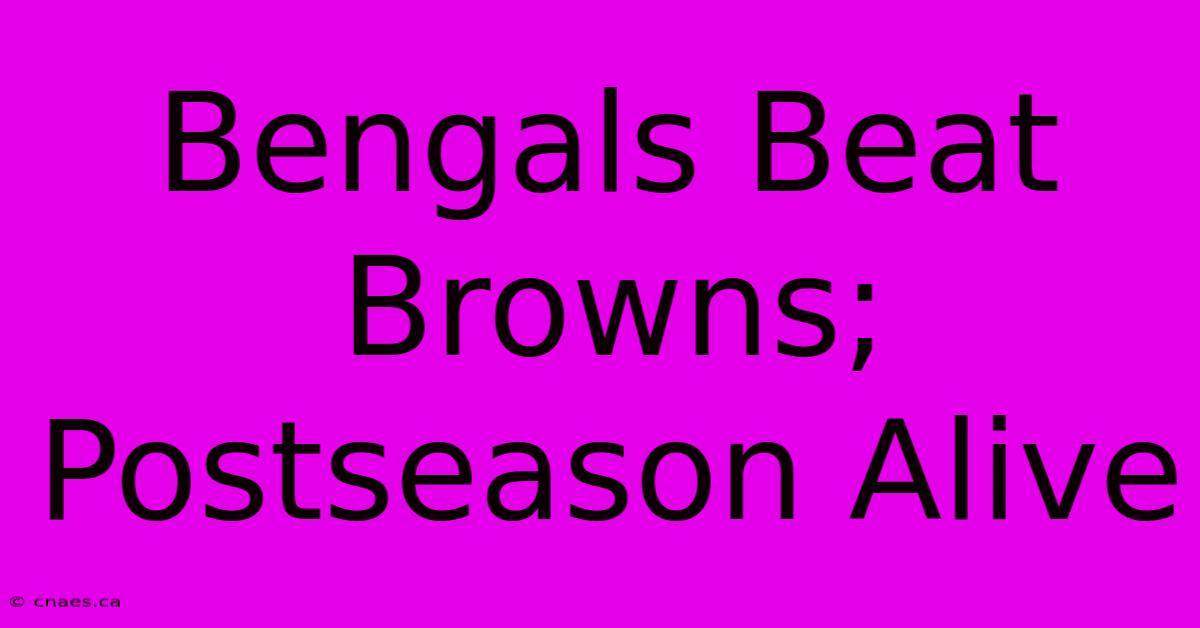 Bengals Beat Browns; Postseason Alive