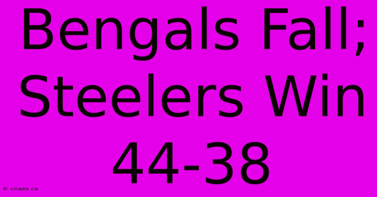 Bengals Fall; Steelers Win 44-38