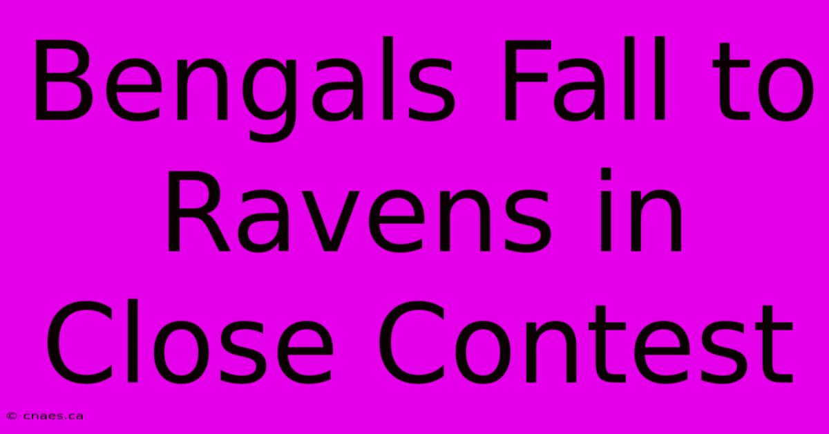 Bengals Fall To Ravens In Close Contest