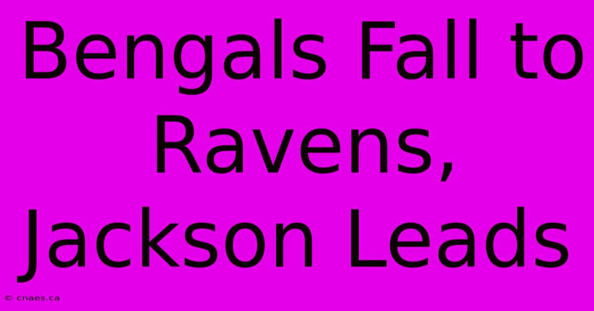 Bengals Fall To Ravens, Jackson Leads 