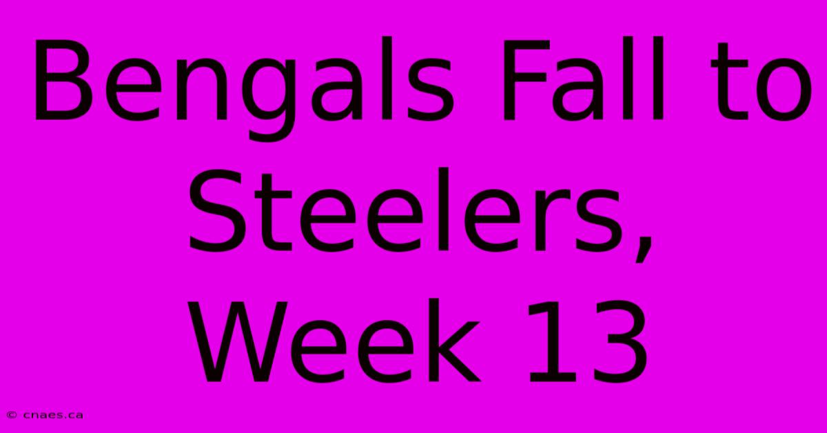 Bengals Fall To Steelers, Week 13