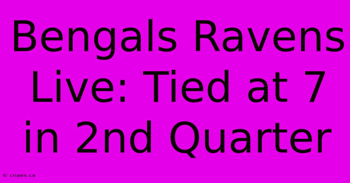 Bengals Ravens Live: Tied At 7 In 2nd Quarter