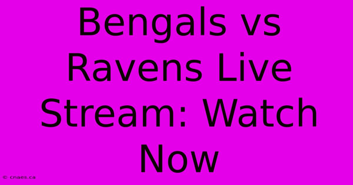 Bengals Vs Ravens Live Stream: Watch Now